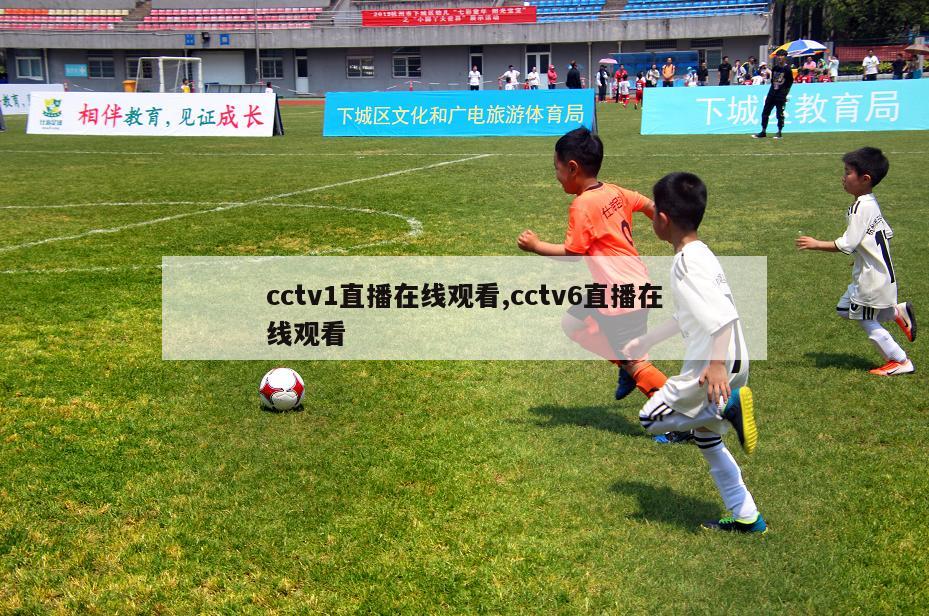 cctv1直播在线观看,cctv6直播在线观看