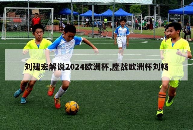 刘建宏解说2024欧洲杯,鏖战欧洲杯刘畅