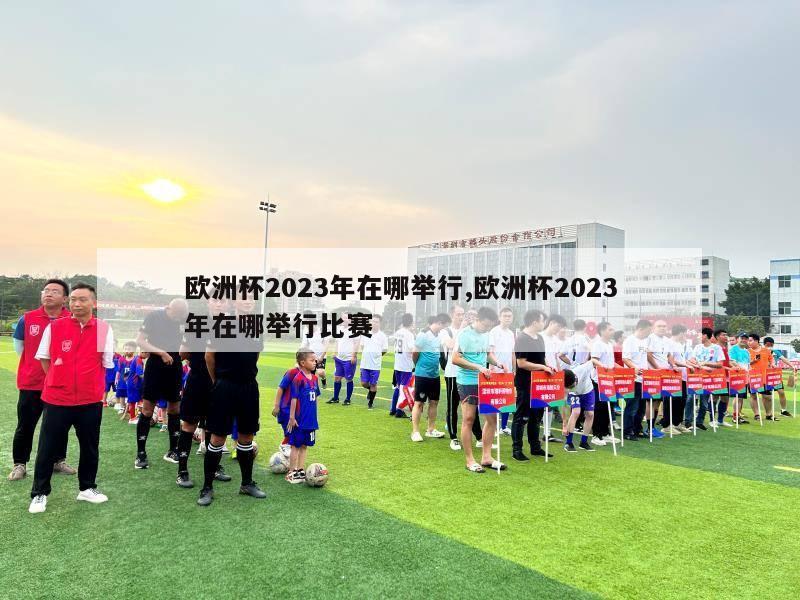 欧洲杯2023年在哪举行,欧洲杯2023年在哪举行比赛